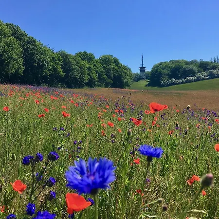 Haus Concordia 2 Phoenix טיסואו