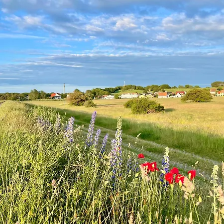 Haus Concordia 2 Phoenix *